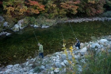 엘리어트 > 엘리어트의 가을 낚시여행 ( 강원도 홍천 을수골 계곡을 찾아서...) : 낚시사랑