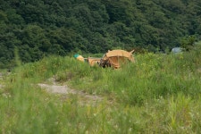 엘리어트 > 엘리어트의 가을 낚시여행 (강원도 화천 동촌리 파로호) - 편 : 낚시사랑