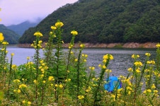 나들이 > 파로호 비수구미오지마을 에서 : 낚시사랑