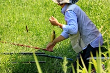 해창만도사 > 남녘화보조행! 대물을 찾아서... : 낚시사랑