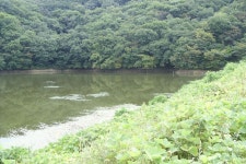 바다하늘산 > 충청권 소류지 탐사 ... 백로(白露) ... 2015.9.12 ~ 9.13 ... : 낚시사랑