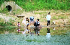 토탈조사 > 서산 가사저수지『인천지부 가을 정기출조』 : 낚시사랑