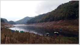 어신 > 단풍이 물들어 가는 추곡 낚시터에서 : 낚시사랑