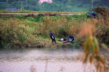 토탈조사 > 『와룡천 대물낚시』충청남도 홍성군 결성면 교황리 소재 : 낚시사랑