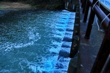 해창만도사 > 찌올림 납회!-당진 해창지- : 낚시사랑