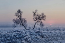 엘리어트 > 엘리어트의 겨울 낚시여행 ( 경기도 화성 송정리 수로를 찾아서...) : 낚시사랑