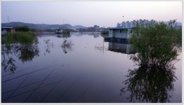어신 > 낚시사랑 한마음축제가 열렸던 삼성낚시터와 송전지 관광좌대 : 낚시사랑