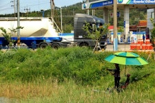 해창만도사 > 충남 대산 화곡저수지! : 낚시사랑