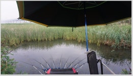 어신 > 동문들과 함께한 남양호 노진리 낚시터 : 낚시사랑