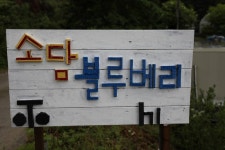 바다하늘산 > 충청권 소류지 탐사 ... 깊은 산속 옹달샘 ... 2016.6.24 ~ 6.26 ... : 낚시사랑