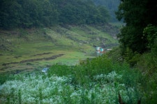 엘리어트 > 엘리어트의 낚시여행 (충주호 늘푸른 낚시터 잉어골을 찾아서...) : 낚시사랑