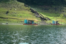 엘리어트 > 엘리어트의 낚시여행 (충주호 늘푸른 낚시터 잉어골을 찾아서...) : 낚시사랑