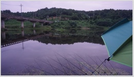 어신 > 고삼지 퇴수로에서 뺨맞고 용인 용담지에서 화풀이 했습니다. : 낚시사랑