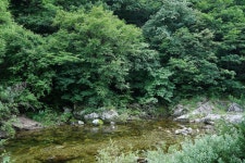 츄릅 민물낚시 노지조행기 > 강원도 홍천 을수골을 다녀오며... : 낚시사랑