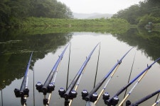 바다하늘산 > 충청권 소류지 탐사 ... 복날 (伏─) ... 2016.7.29 ~ 7.31 ... : 낚시사랑