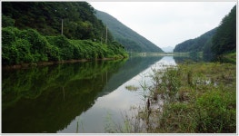 어신 > 깊은 산속 괴산 오지의 저수지 덕평지 : 낚시사랑