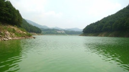 낙하산 > 낙하산의 낚시여행...(충주호 & 입석낚시터) : 낚시사랑