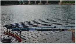 어신 > 육령지에서 꽝 맞고 반성낚시간곳은 앵천리보 : 낚시사랑