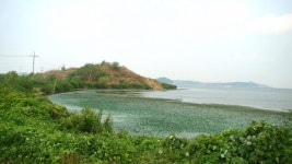 낙하산 > 낙하산의 낚시여행...(평택호 백석포리) : 낚시사랑