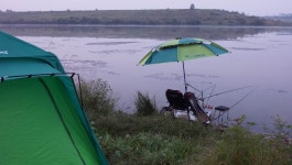 어신 > 여주 남한강에서 만난 굵은 붕어들 : 낚시사랑