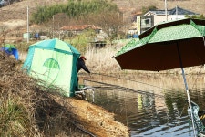 토탈조사 > 태안군 안면대로 대야저수지(율포지) : 낚시사랑