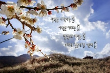 토탈조사 > 태안군 안면대로 대야저수지(율포지) : 낚시사랑
