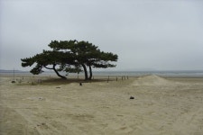 바다하늘산 > 충청권 소류지 탐사 ... 부남호(浮南湖) ... 2017.4.18 ~ 4.19 ... : 낚시사랑
