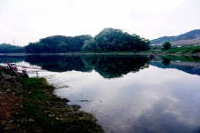 낙엽비 > 『강원도 계곡지, 충주호』 : 낚시사랑