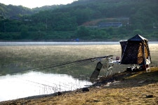 낙엽비 > 『천태저수지(행정지)』 : 낚시사랑