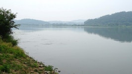 낙하산 > 낙하산의 낚시여행...(경기 여주 남한강) : 낚시사랑