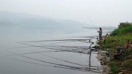 낙하산 > 낙하산의 낚시여행...(경기 여주 남한강) : 낚시사랑