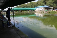 쉬리 > 면허낚시터 ~ : 낚시사랑