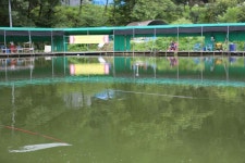 쉬리 > 산정낚시터 : 낚시사랑