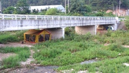 낙하산 > 낙하산의 낚시여행...(강원도 문막 반계지) : 낚시사랑