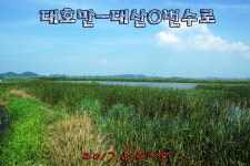 일산꾼 > 일산꾼의 낚시일기-대호만 대산0번수로 : 낚시사랑
