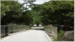 어신 > 붕어가 없다.하지만 나오면 사짜 이상이다. : 낚시사랑