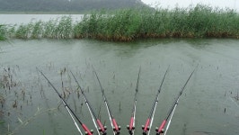 낙하산 > 낙하산의 낚시여행...(충남 당진 대호) : 낚시사랑