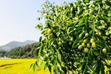 송우 > 세월은 흐르는 강물처럼... : 낚시사랑