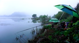 낙엽비 > 『행정저수지/안개와 함께』 : 낚시사랑