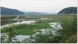 어신 > 작은 붕어들만 바글바글한 신양의 화산천 : 낚시사랑