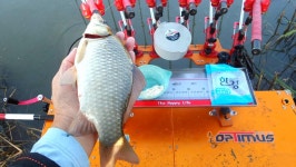 낙하산 > 낙하산의 낚시여행...(납회장소 정찰 & 대산수로) : 낚시사랑