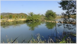 어신 > 가을속의 땅콩밭 포인트 입석낚시터 : 낚시사랑