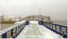 어신 > 배는 안뜨고 할일은 없고...낚시대 2대 달랑 들고 수로 탐사갑니다. : 낚시사랑