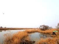 낙엽비 > 『와룡천/만남』 : 낚시사랑