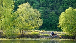 낙엽비 > 『초평천 지전교』 : 낚시사랑