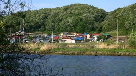 낙엽비 > 『초평천 지전교』 : 낚시사랑