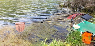 낙엽비 > 『초평천 지전교』 : 낚시사랑