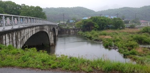 낙엽비 > 『초평천 지전교』 : 낚시사랑