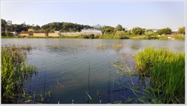 어신 > 초여름속의 양근섬 : 낚시사랑