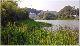 어신 > 초여름속의 양근섬 : 낚시사랑